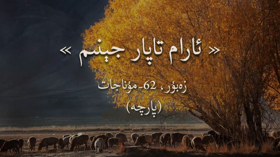 ئارام تاراپ جېنىم
